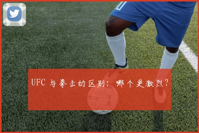 UFC 与拳击的区别：哪个更激烈？